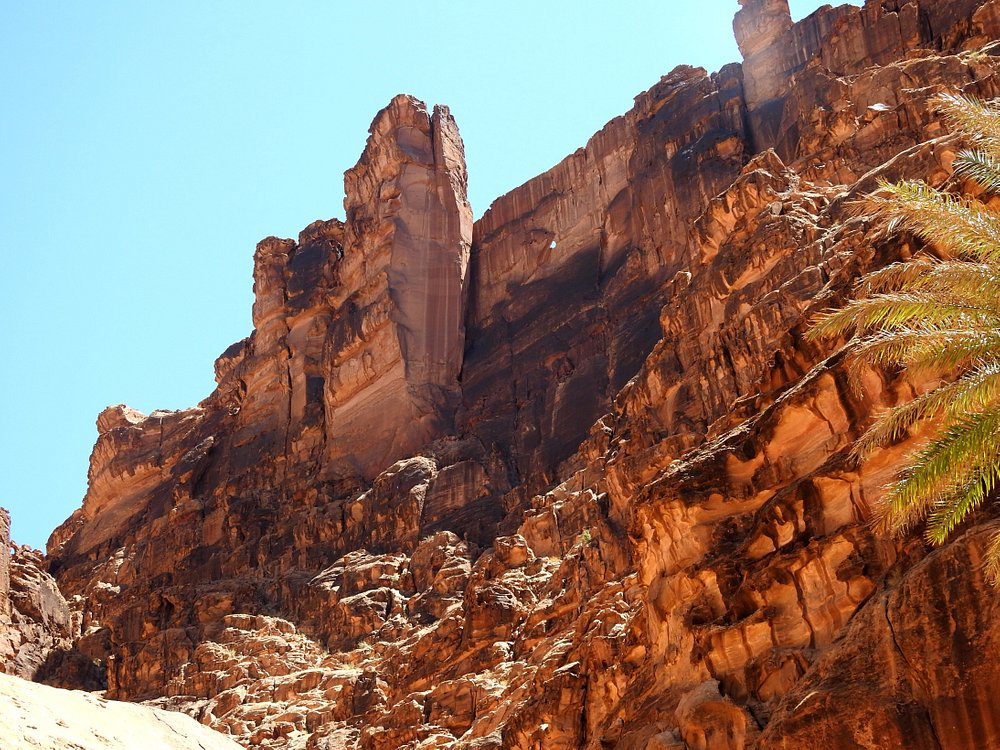 banner-image